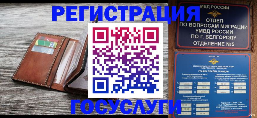прописка 2025 в Белово